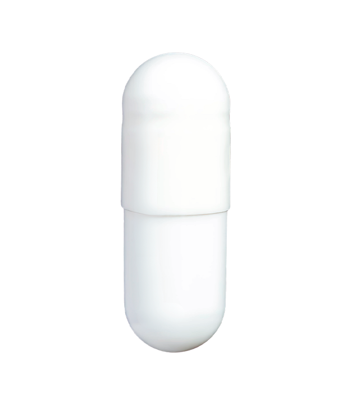 PRE PROBIÓTICOS | Regula la salud intestinal